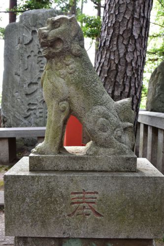 東伏見稲荷神社の狛犬達