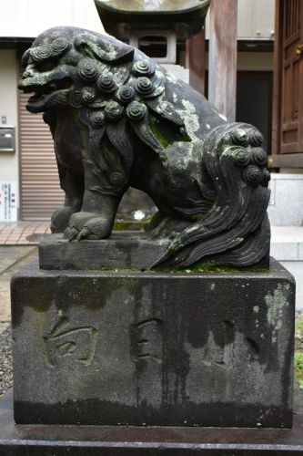 矢来町秋葉神社の狛犬達