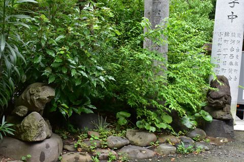 太田姫稲荷神社の狛犬達