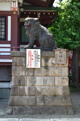平井諏訪神社の狛犬達