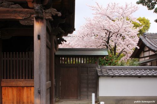 知多四国八十八ヶ所　第四番霊場の 宝龍山 延命寺　No.14