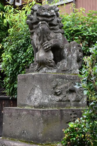 高円寺天祖神社の狛犬達