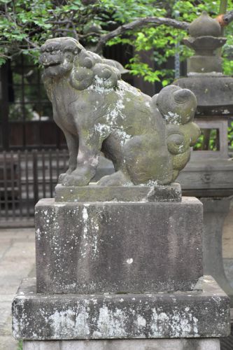 森巖寺の狛犬達
