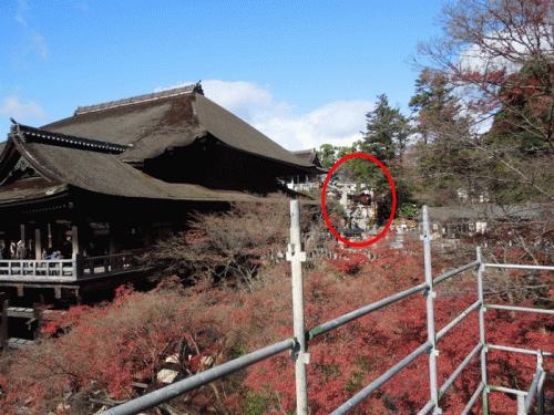 京都地主神社の拝観料と参拝時間は？清水寺からの行き方も