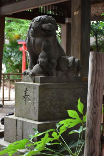 東新町氷川神社の狛犬達