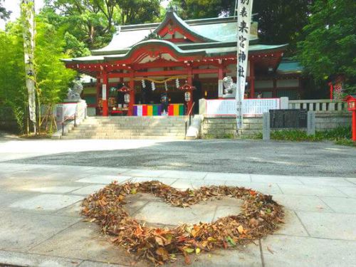 来宮神社の御朱印とご利益・パワースポットは？