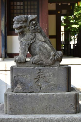 上小松天祖神社の狛犬達