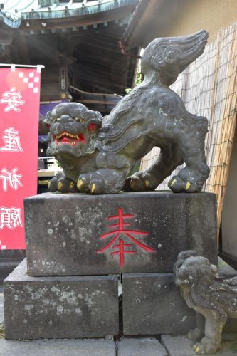 清瀧神社の狛犬達