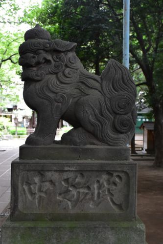常盤台天祖神社の狛犬達