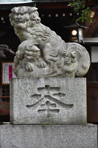 八雲氷川神社の狛犬達
