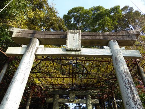 ひめちゃご９０　姫古曽神社　蘇る社殿