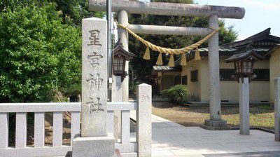 「なでうなぎ」平柳 星宮神社（栃木県栃木市）