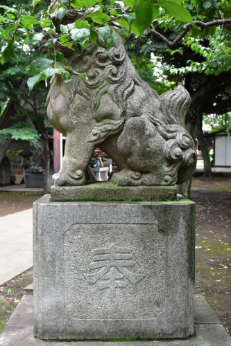 新井天神北野神社の狛犬達