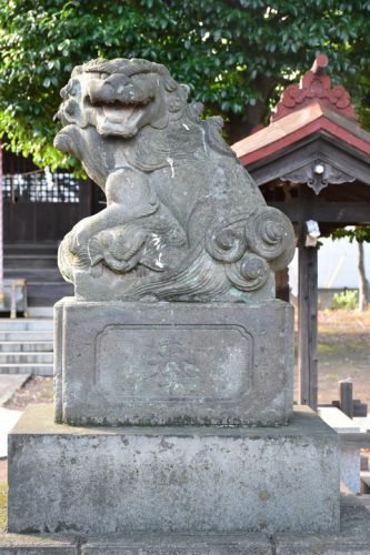 大澤八幡神社の狛犬達