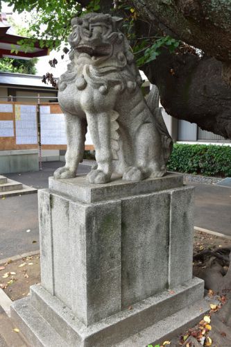 旗岡八幡神社の狛犬達
