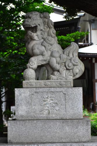 上高田氷川神社の狛犬達