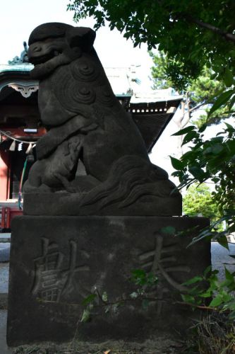 子安八幡神社（仲池上）の狛犬達