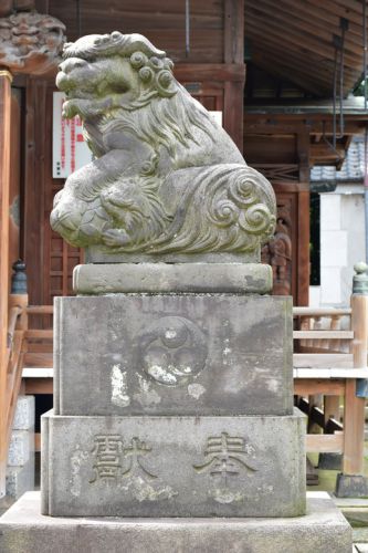 赤羽北諏訪神社の狛犬達