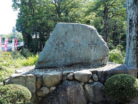 四国別格霊場第十六番「萩原寺」の萩の景色と御朱印