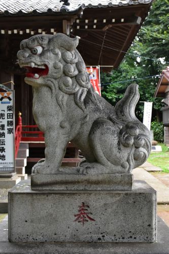 勝淵神社の狛犬達