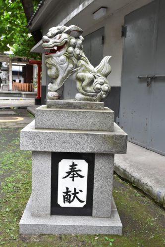 銀杏岡八幡神社の狛犬達