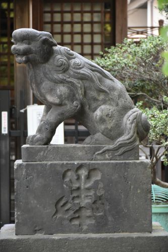 矢口氷川神社の狛犬達