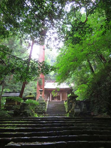 キノミヤ信仰と伊東の八幡宮来宮神社