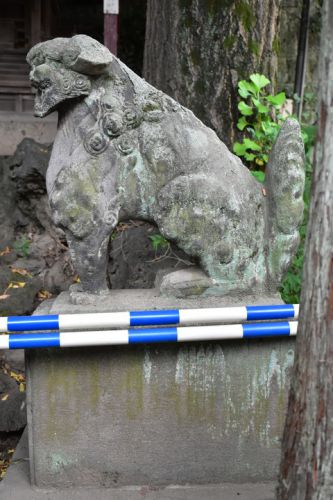 王子稲荷神社の狛犬達