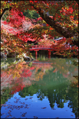 醍醐寺の紅葉2017の見ごろ時期や現在の情報は？混雑や所要時間も