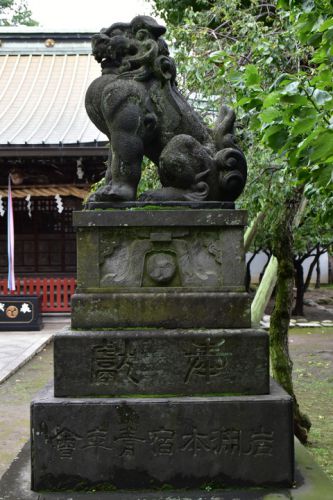 岩淵八雲神社の狛犬達