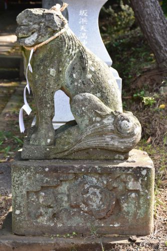 坂浜天満神社の狛犬達