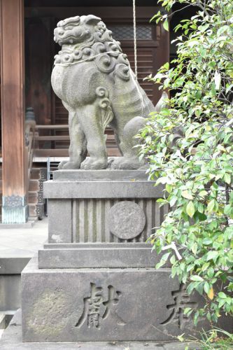 鐵砲洲稲荷神社の狛犬達