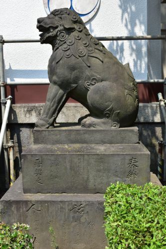 富岡八幡宮の狛犬達