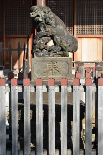 鵜ノ木八幡神社の狛犬達