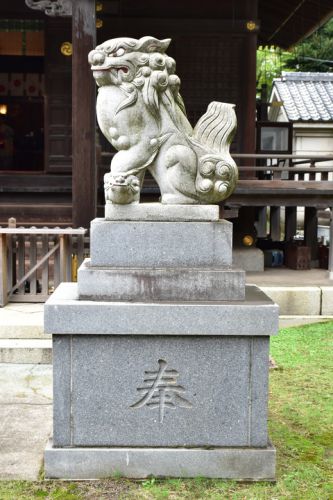 赤羽八幡神社の狛犬達