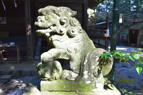 虎柏神社の狛犬達