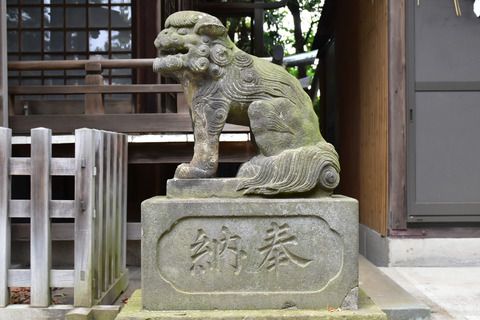 大谷口氷川神社の狛犬達