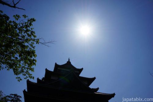 島根観光！出雲大社と国宝 松江城を巡り、ぼてぼて茶と神代そばを堪能！
