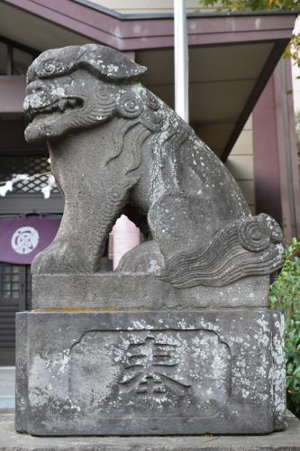 日野八坂神社の狛犬達