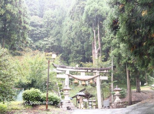 長浜余呉　法照寺