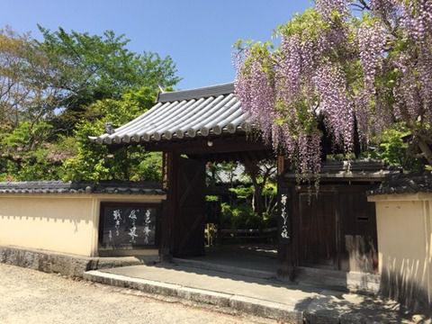 【奈良】當麻寺 宗胤院の御朱印