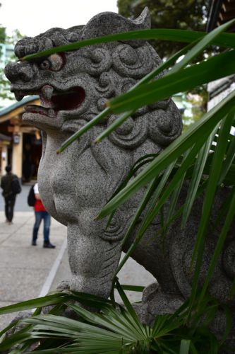 四谷須賀神社の狛犬達