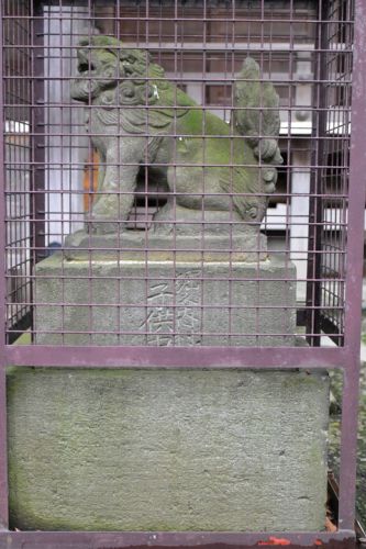 堀之内熊野神社の狛犬達