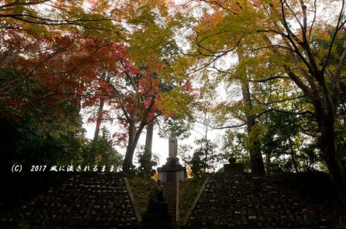 紅葉の情景　奈良・九品寺　紅葉　2017年11月25日撮影