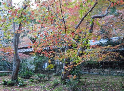 嵐山駅から祇王寺までのアクセスは?最寄りバス停から徒歩での行き方も
