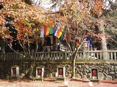 秘仏御本尊の特別開帳「播州清水寺」の根本中堂　特別御朱印（兵庫県加東市）