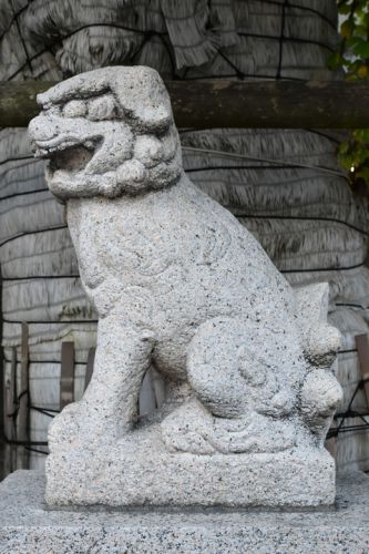 誕生八幡神社の狛犬達