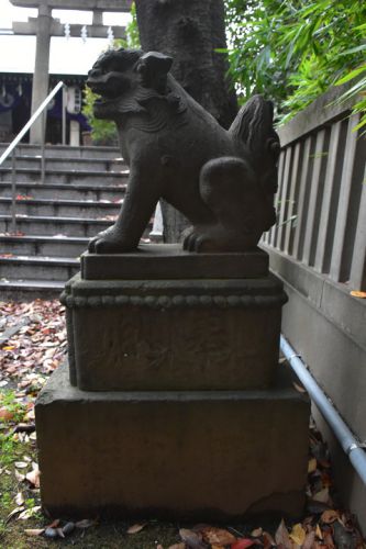 櫻田神社の狛犬達