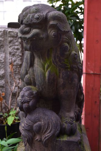 亀塚稲荷神社の狛犬達