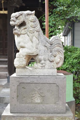 雑色八幡神社の狛犬達
